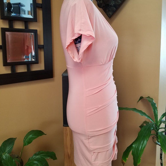 (SOLD) FOREVER 21 LIGHT PINK FITTED DRESS - Picture 3 of 8
